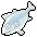 Frozen Tuna
