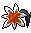 Maple Star