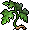 Artemisia