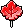 Maple Pop
