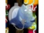 Bloopie the phantom watch