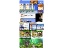 A pets point of view