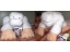 Plush yeti